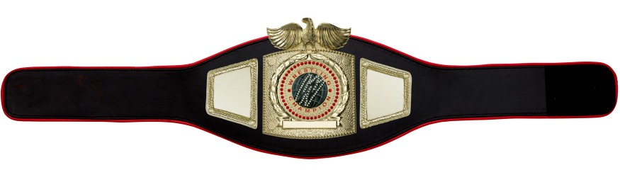 PROEAGLE WRESTLING CHAMPIONSHIP BELT - PROEAGLE/G/WRESTGEM- 6+ COLOURS PROEAGLE WRESTLING CHAMPIONSHIP BELT - PROEAGLE/G/WRESTGEM- 6+ COLOURS